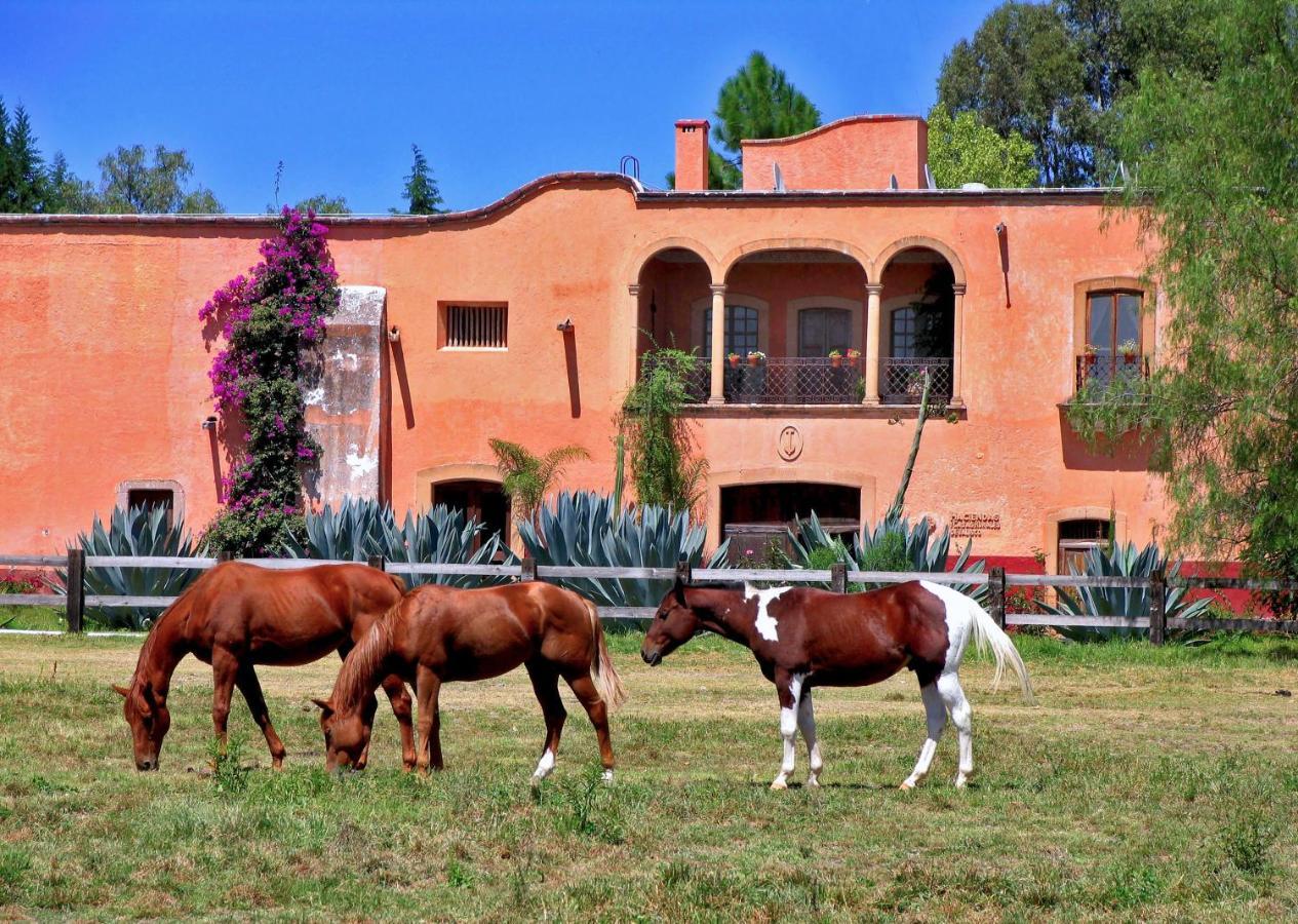 Hacienda Sepulveda Hotel&Spa Lagos de Moreno Exterior foto
